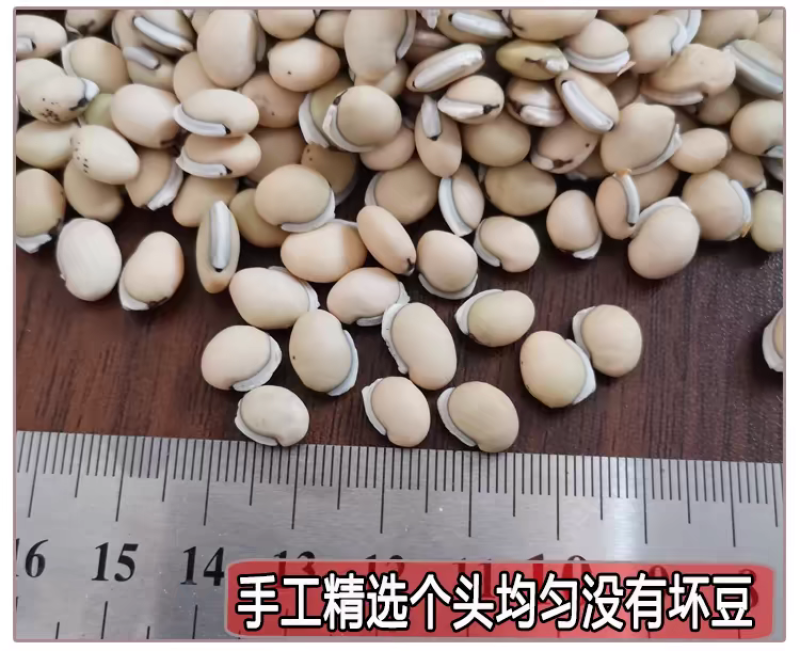 包邮）25年云南白扁豆农家黑边老品种新货2500g