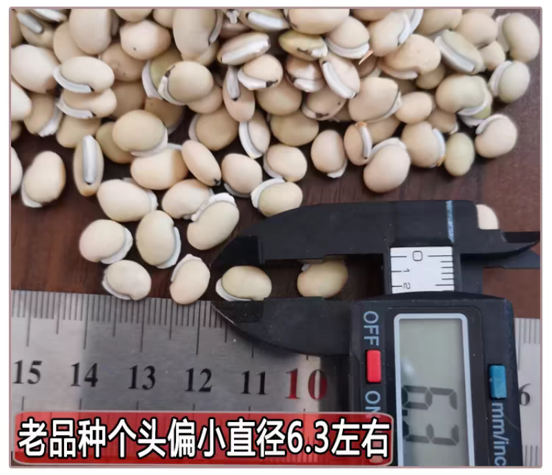 包邮）25年云南白扁豆农家黑边老品种新货2500g