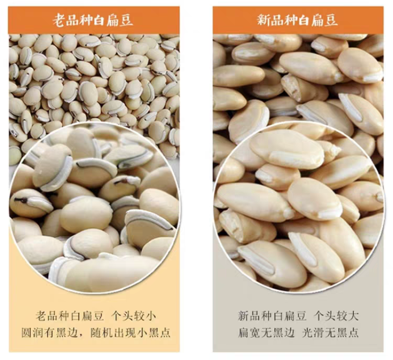 包邮）25年云南白扁豆农家黑边老品种新货2500g