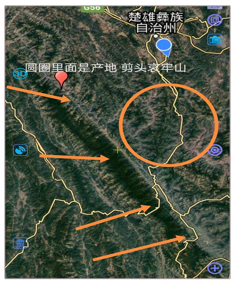 包邮）25年云南白扁豆农家黑边老品种新货2500g