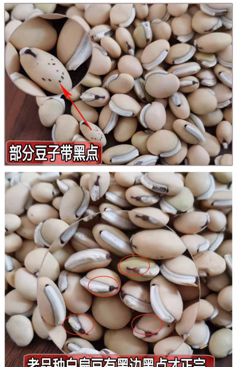包邮）25年云南白扁豆农家黑边老品种新货2500g