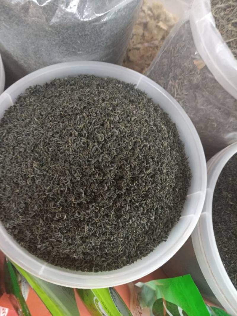马边高山绿茶，日照充足