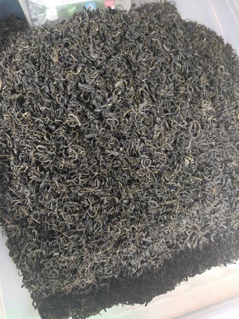 马边高山绿茶，日照充足