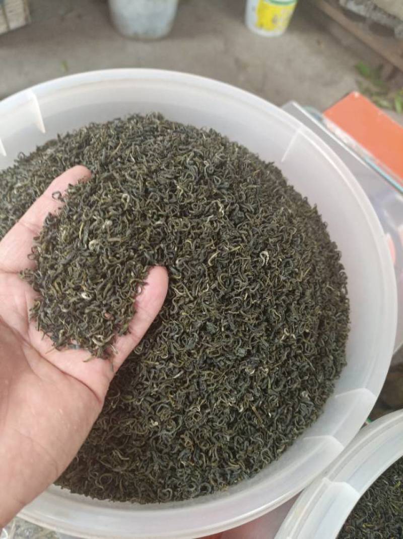 马边高山绿茶，日照充足