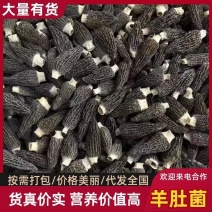 新货羊肚菌产地直销批发新鲜烘干头茬羊肚菌土特产礼盒菌菇包