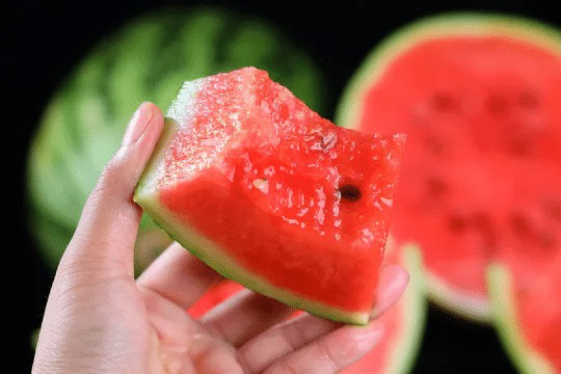【每日推荐】河南美都麒麟西瓜产地直发量大从优可视频看货