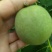 四川青皮核挑，成熟早，仁子白，吃着香。一手货源供应全国市