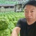 四川青皮核挑，成熟早，仁子白，吃着香。一手货源供应全国市