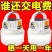 太阳能露营充电户外超长续航帐篷家用应急灯野营充电式照明灯