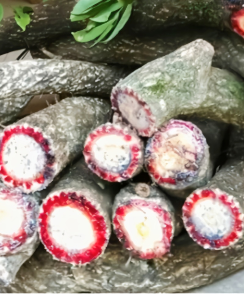 广西纯野生血藤量大价格实惠基地直发，对接全国