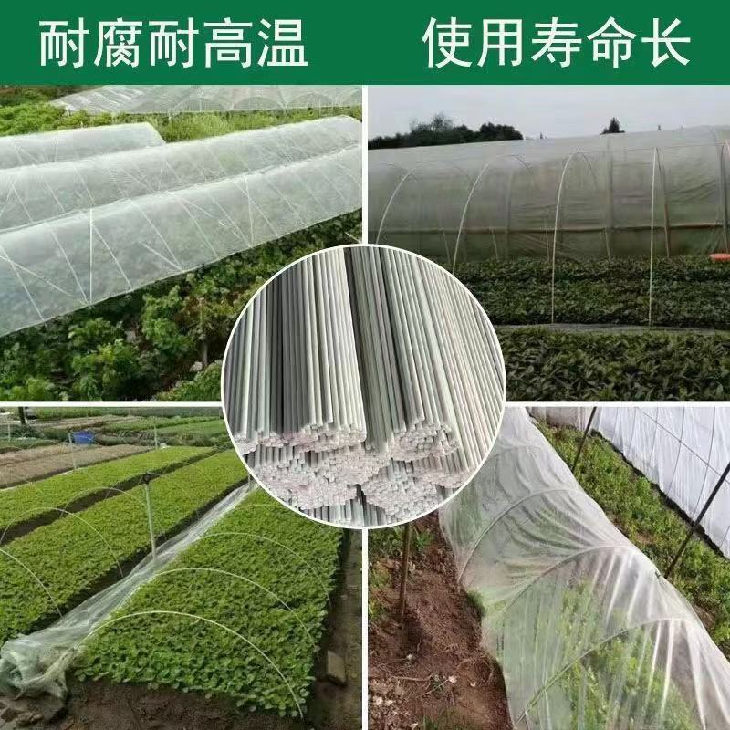 专业生产玻璃纤维拱棚杆产地直发，诚信经营，服务周到