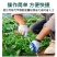 玻璃纤维杆拱棚支架，产地直发，品质保证诚信经营服务周到