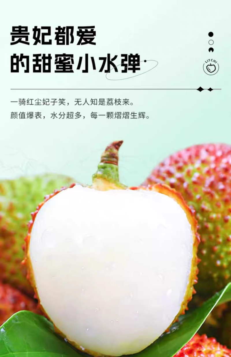 广东荔枝妃子笑大量上市新鲜榨汁果工厂果现摘现发