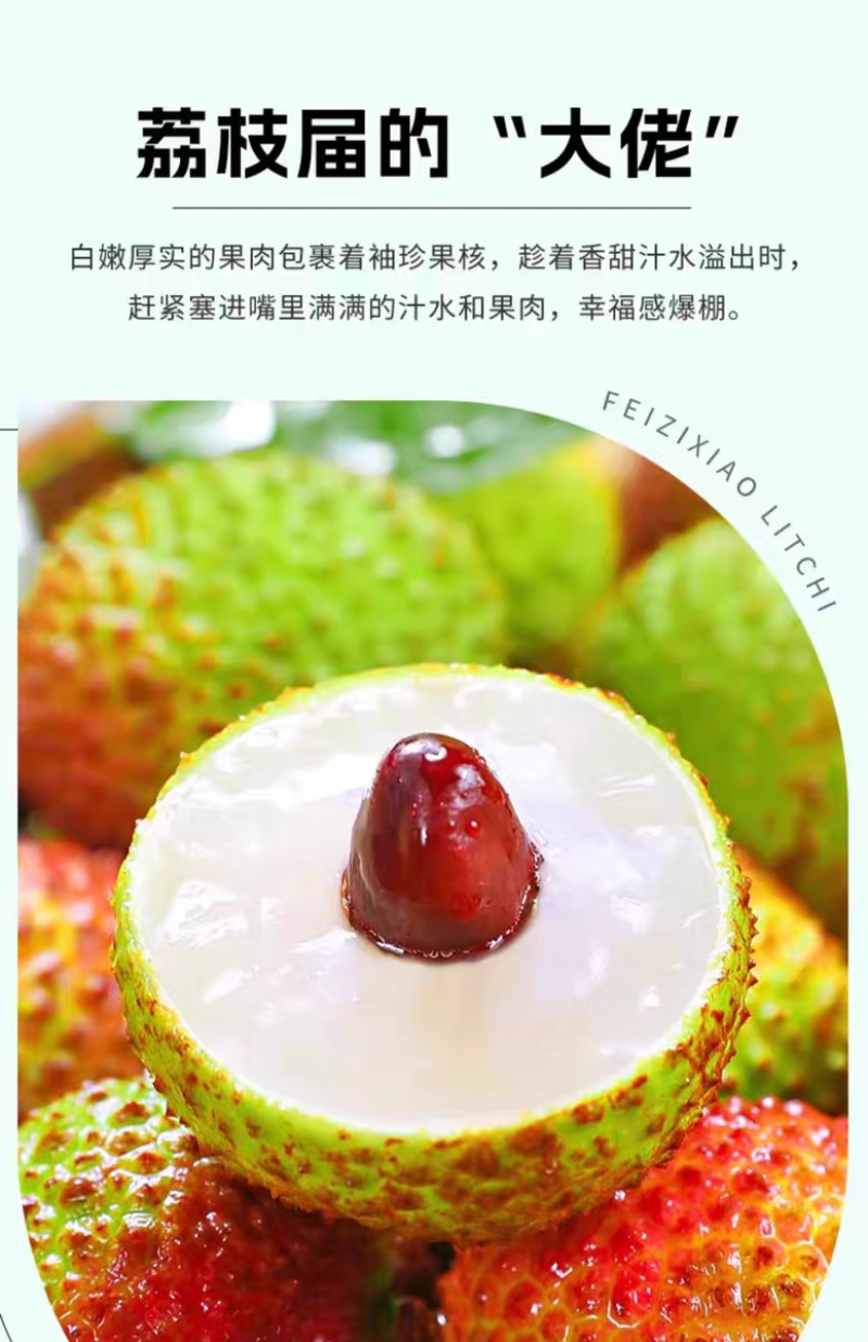 广东荔枝妃子笑大量上市新鲜榨汁果工厂果现摘现发