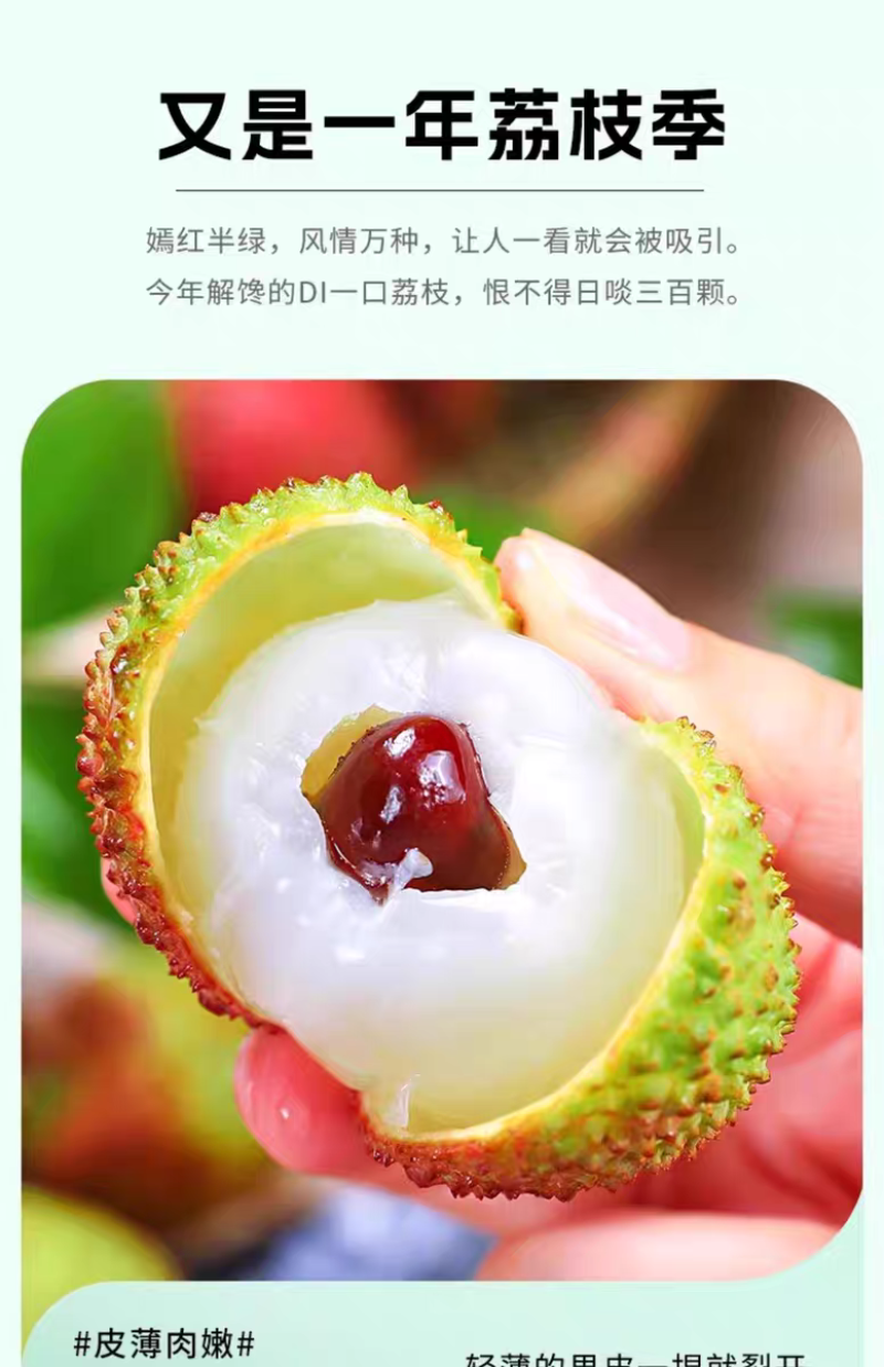 广东荔枝妃子笑大量上市新鲜榨汁果工厂果现摘现发