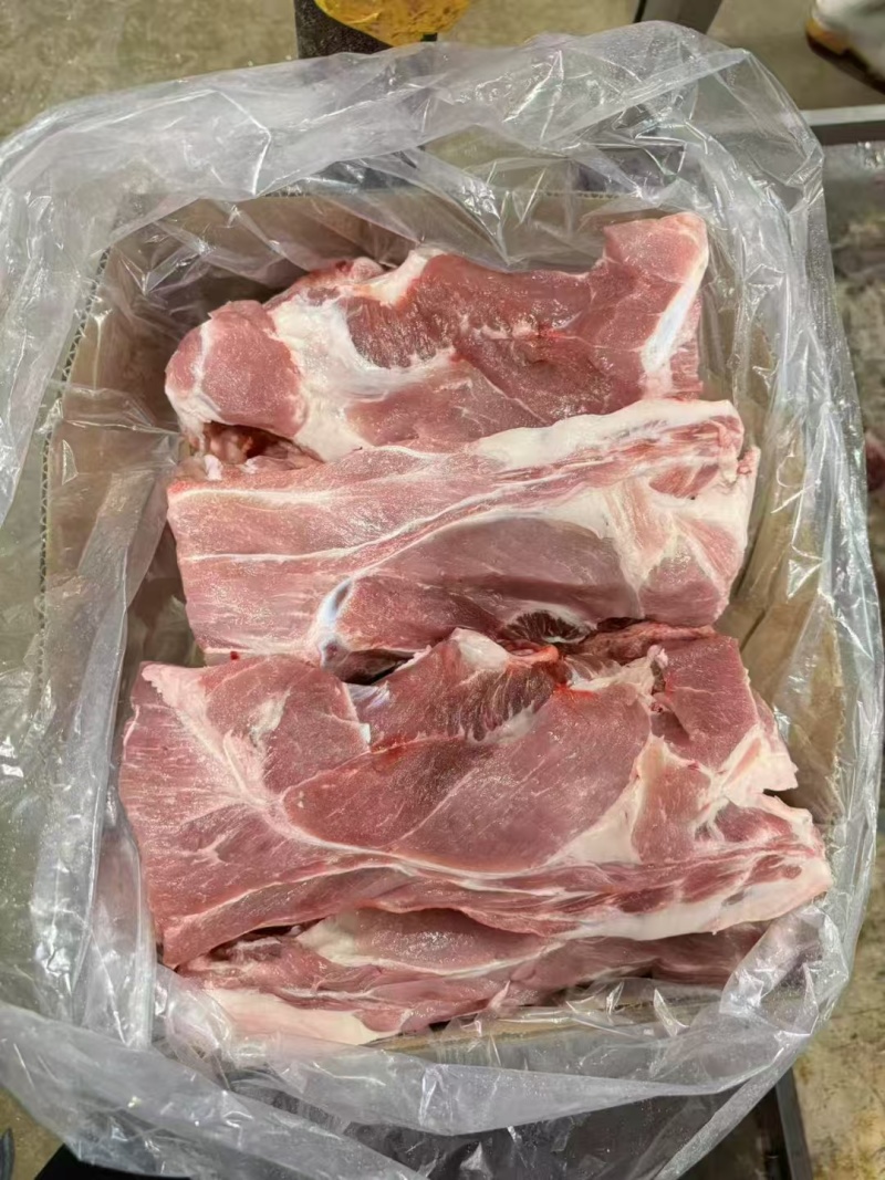叉尾骨