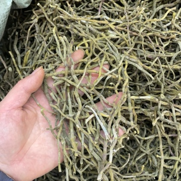 铁皮石斛干条价格便宜
