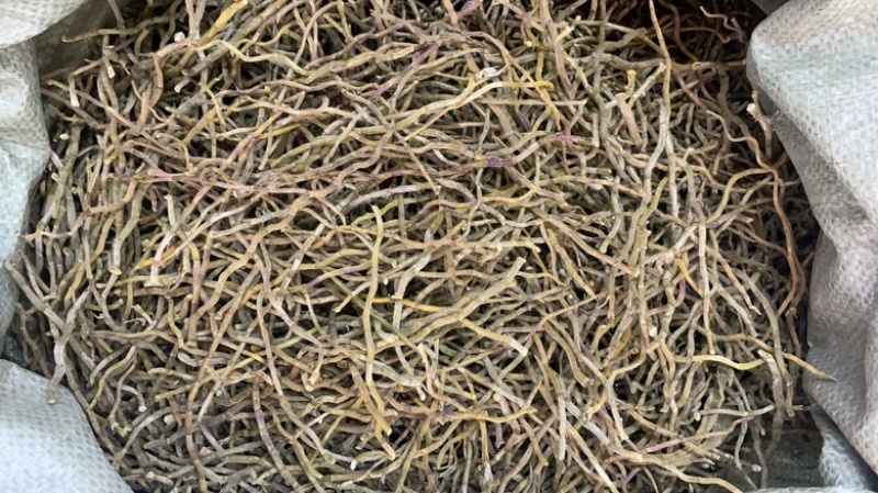 铁皮石斛干条价格便宜
