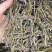铁皮石斛干条价格便宜