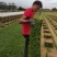 惠州大叶油草卷