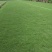 惠州台湾草卷