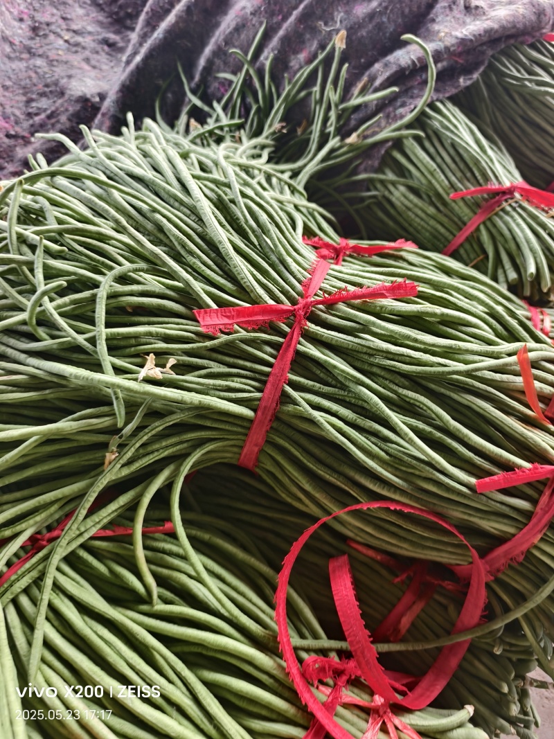 精品绿条长豆角大量代发全国，