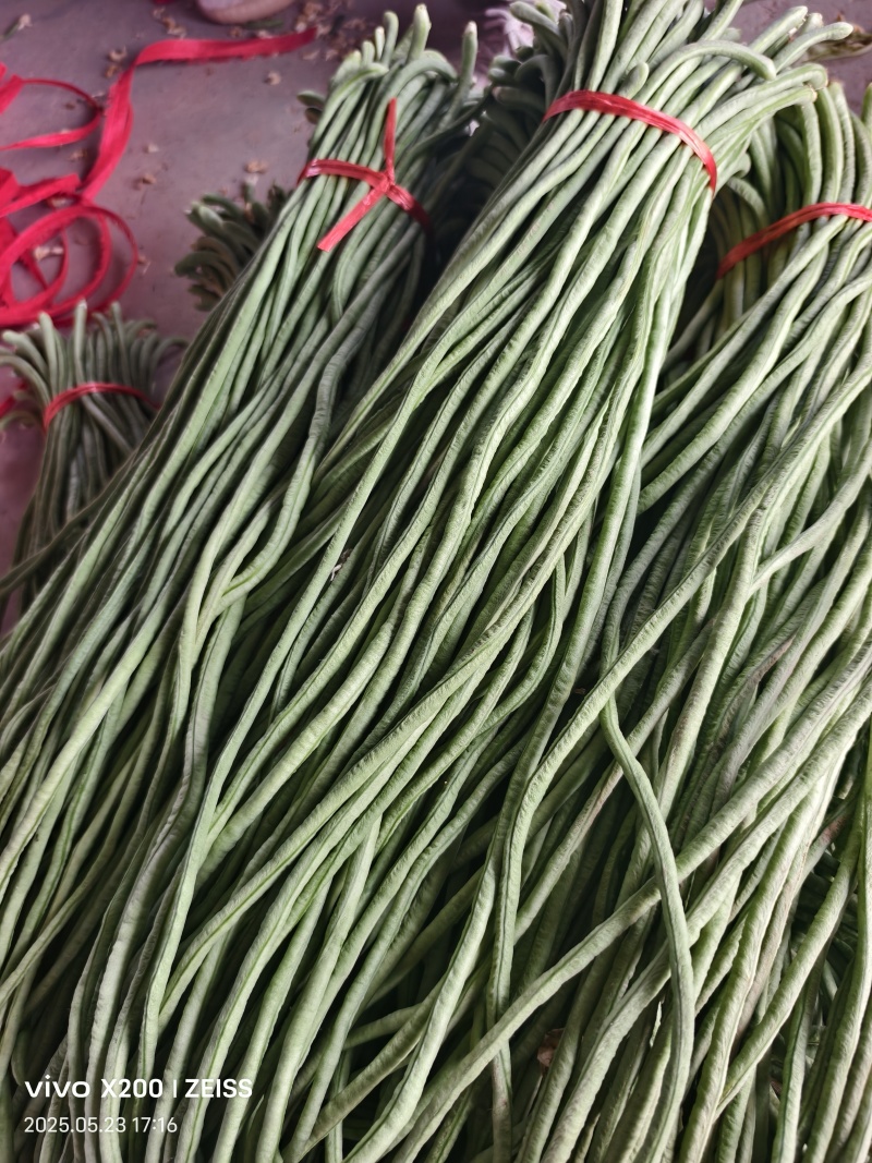 精品绿条长豆角大量代发全国，
