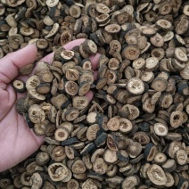 青皮小青皮大青皮规格任选实物实拍批发各种中药材