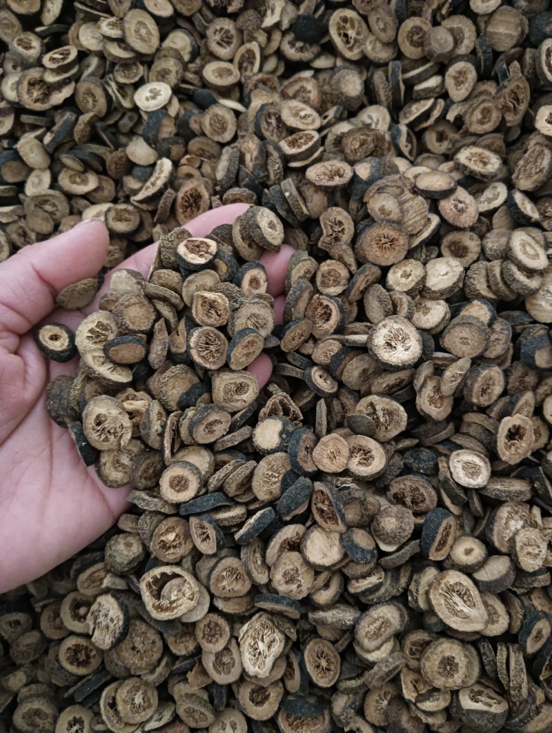 青皮小青皮大青皮规格任选实物实拍批发各种中药材