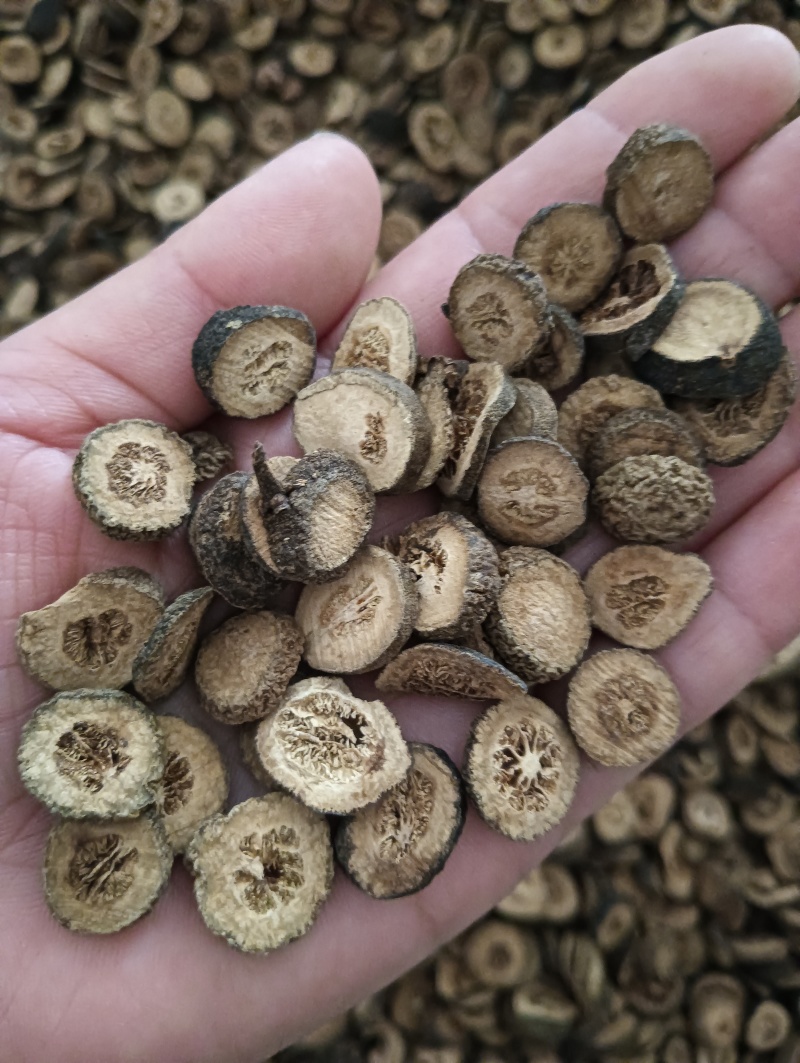 青皮小青皮大青皮规格任选实物实拍批发各种中药材