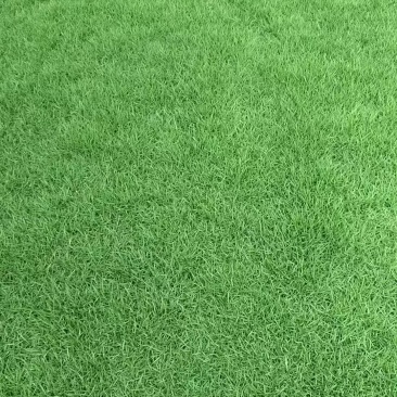 台湾草卷