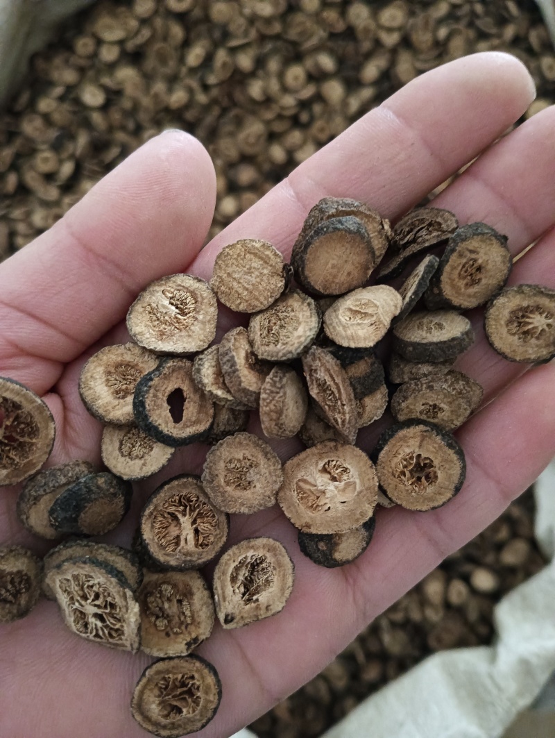 青皮小青皮大青皮规格任选实物实拍批发各种中药材