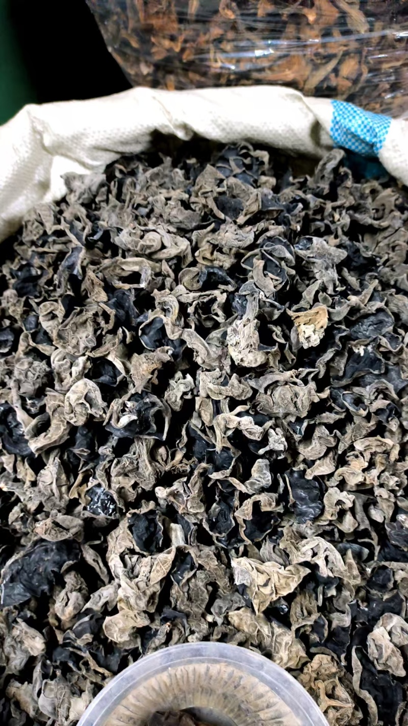 东北特产纯木耳段木耳源头基地干货批发零售大片肉厚无根软嫩