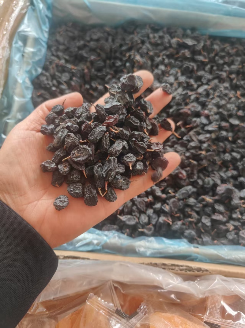黑加仑葡萄干，大量有货欢迎新老客户前来合作