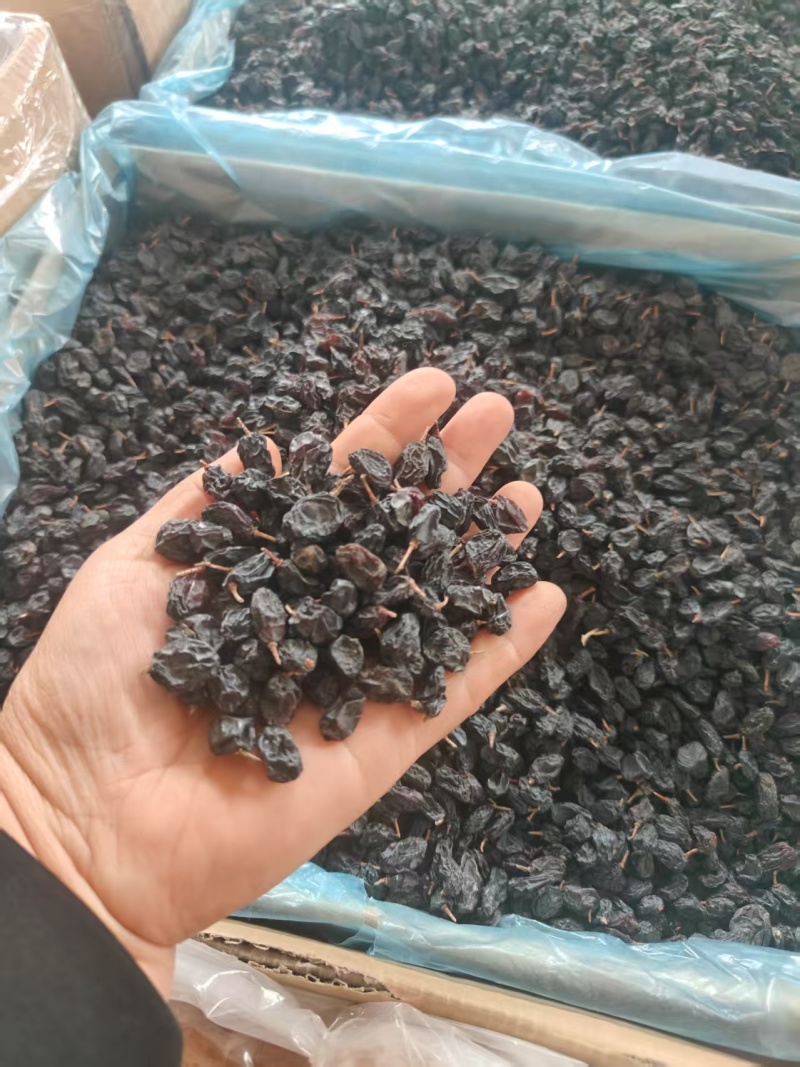 黑加仑葡萄干，大量有货欢迎新老客户前来合作