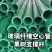 玻璃纤维空心管产地直直发，诚信经营，品质保证服务周到