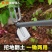 多功能种菜种花家用锄草小锄头不锈钢挖土除草工具园艺户外小花锄