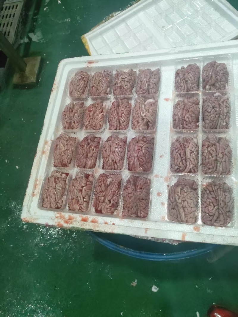 猪副产品猪脑骨髓猪鞭苦胆