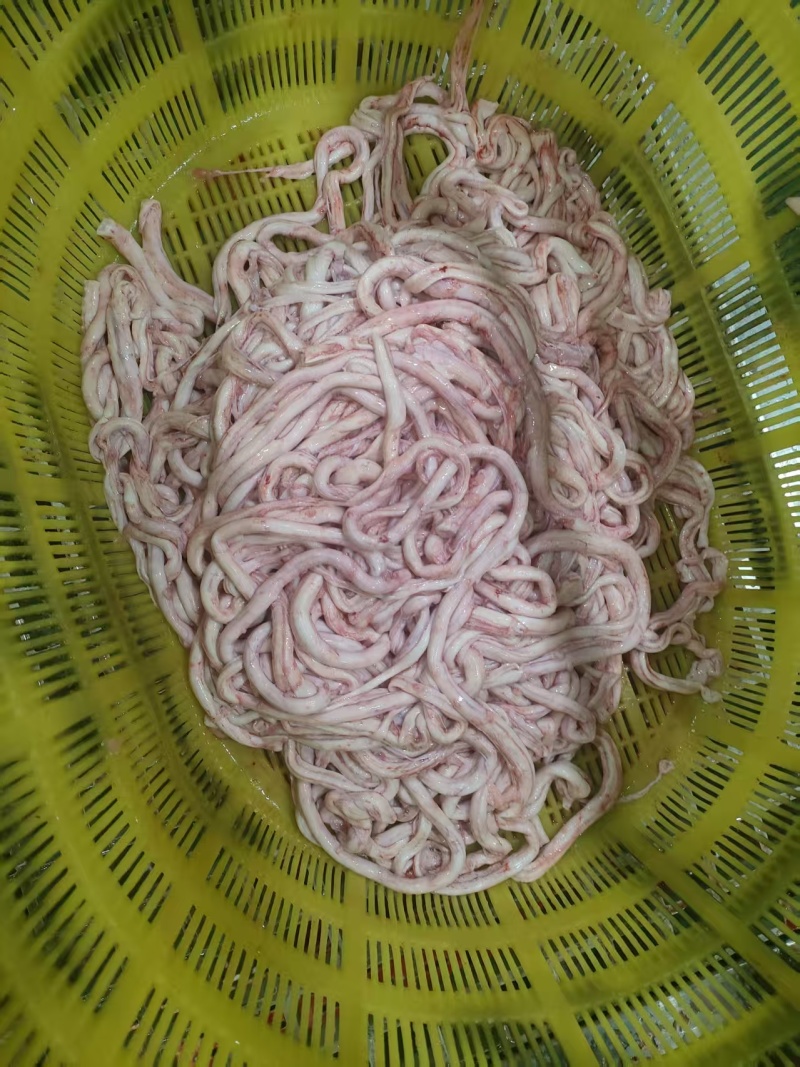 猪副产品猪脑骨髓猪鞭苦胆