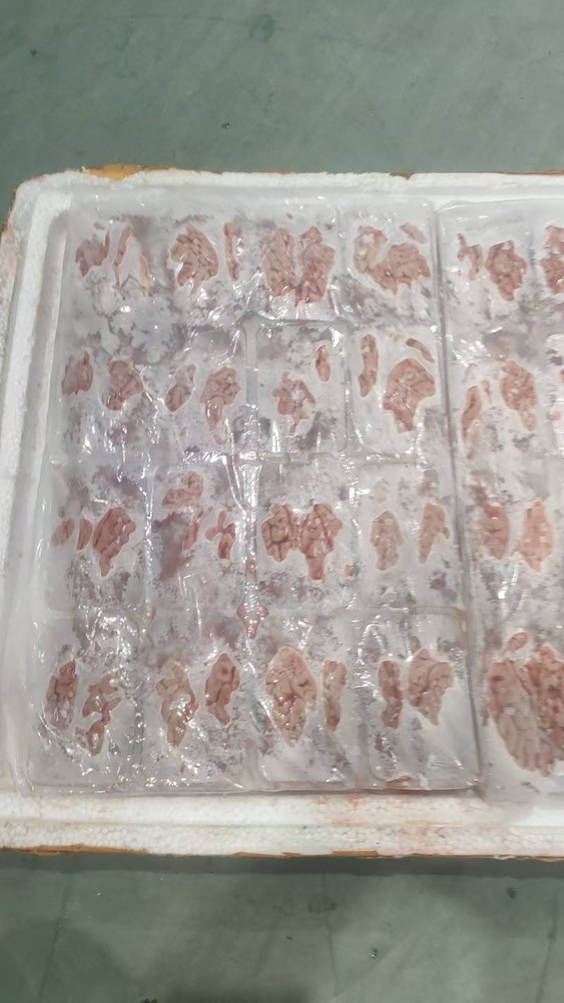猪副产品猪脑骨髓猪鞭苦胆
