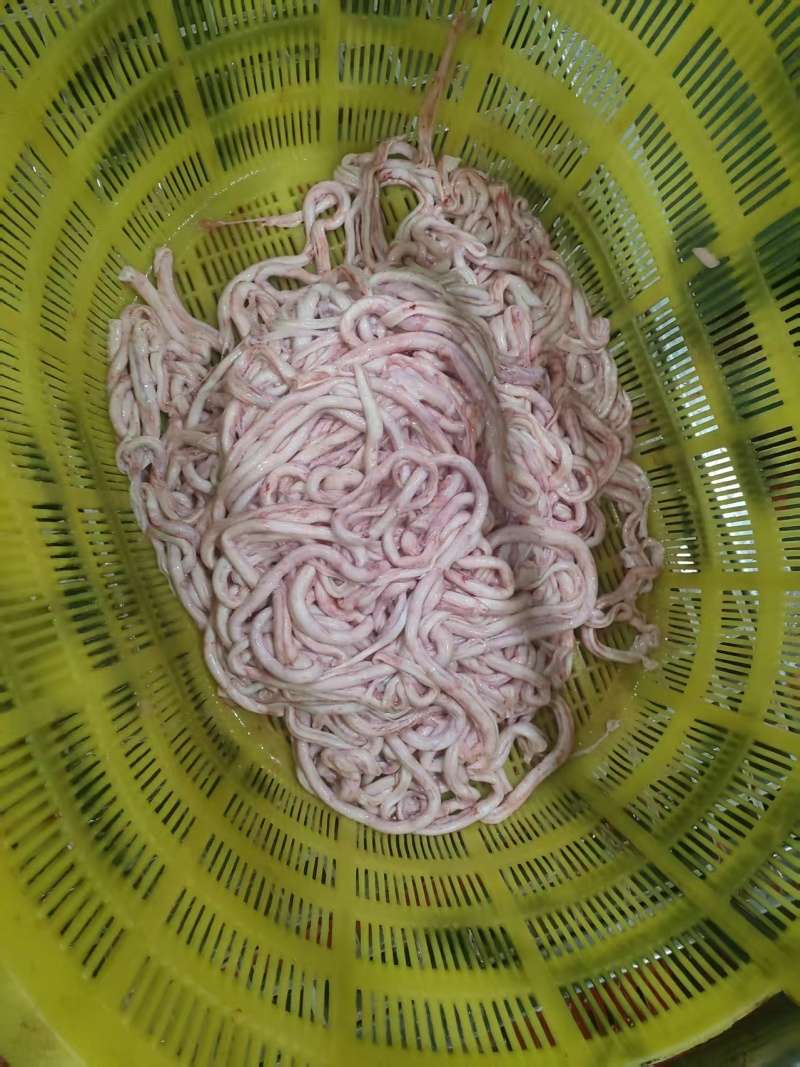 猪副产品猪脑骨髓猪鞭苦胆