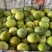 广西钦蜜9号黄金百香果特大果5斤装当季孕妇现摘新