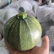 安徽精品小南瓜产地直发现采现发量大从优欢迎咨询