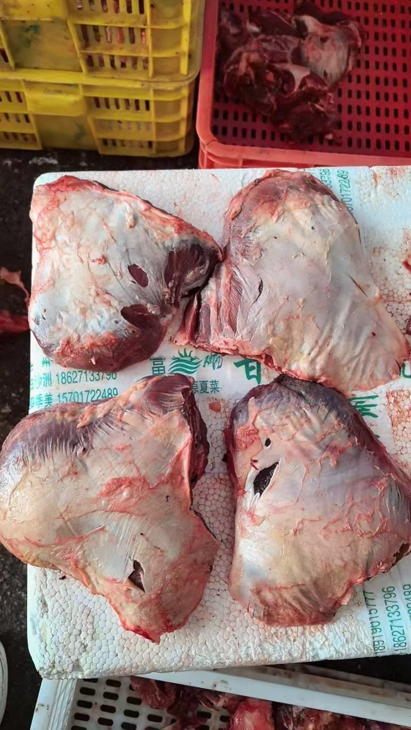 河南郑州牛大脸肉可酱卤红烧产地直发品质保障可视频看货