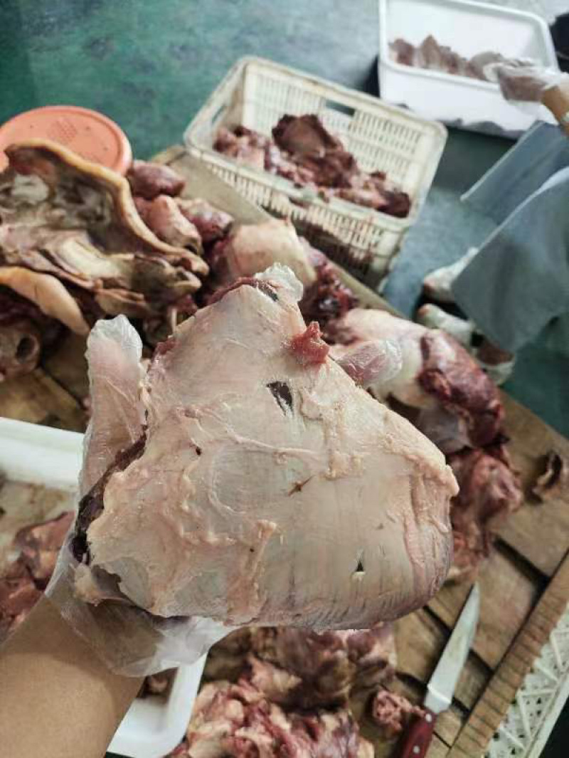 河南郑州牛大脸肉可酱卤红烧产地直发品质保障可视频看货