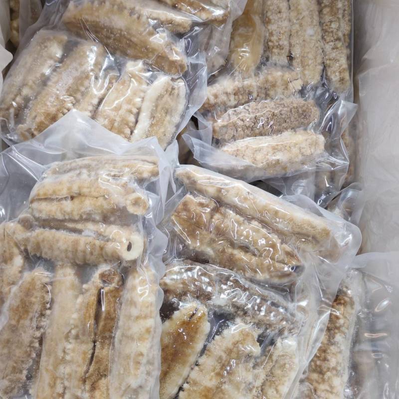 黄玉参水发黄肉参白刺参0.8斤上条4一5条斤