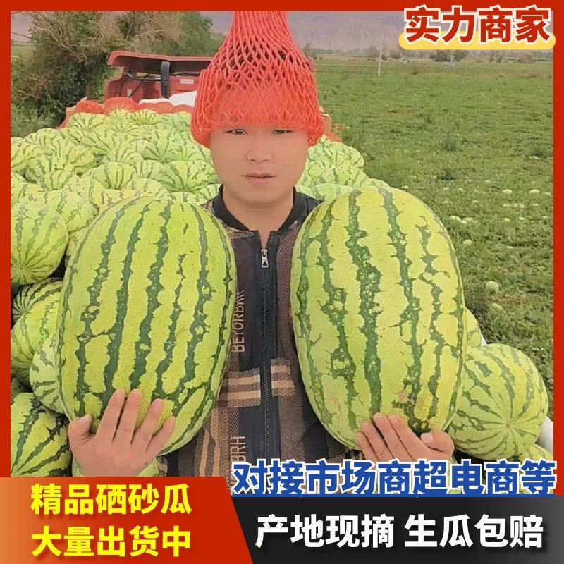 【实力推荐】精品硒砂瓜货源充足量大从优产地直发