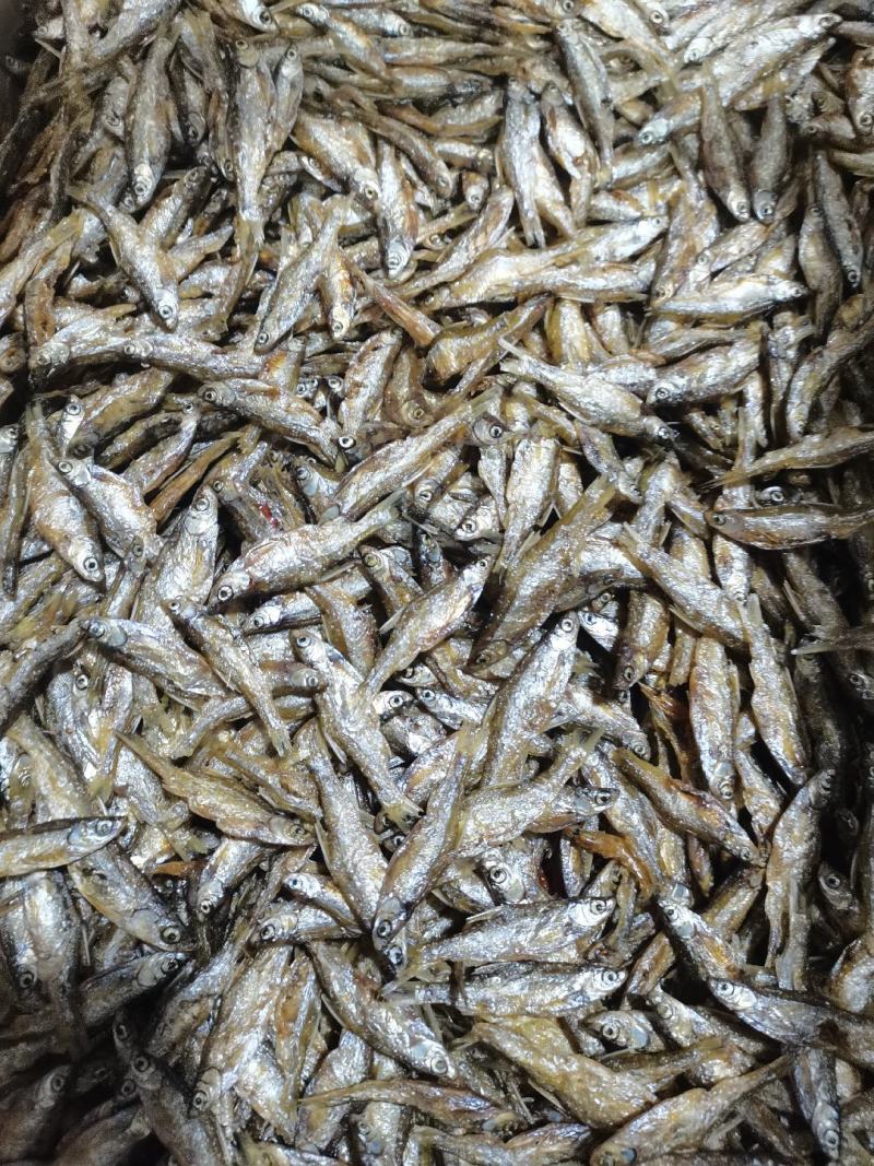 油炸不开肚白肖/干货/鱼干/水库鱼/不苦/纯野生/包邮