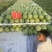 【实力推荐】精品硒砂瓜货源充足量大从优产地直发