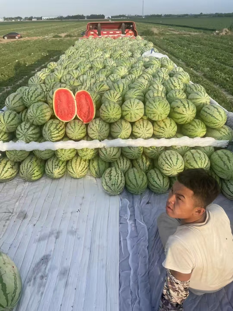 【实力推荐】精品硒砂瓜货源充足量大从优产地直发